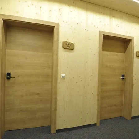 Dorfhotel Engl-grafinger Hotel Pinsdorf